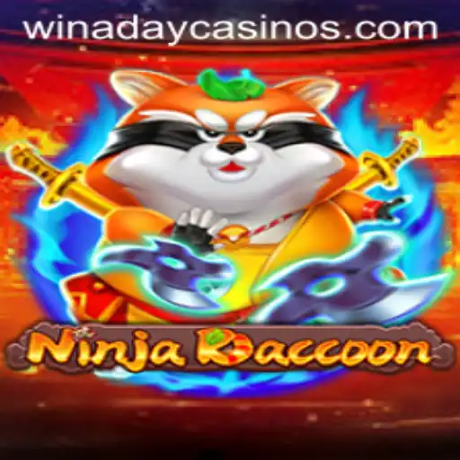 NinjaRaccoon: A Thrilling Adventure at Winaday Casino