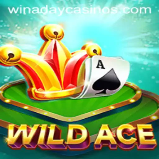 Discovering WildAce at Winaday Casino